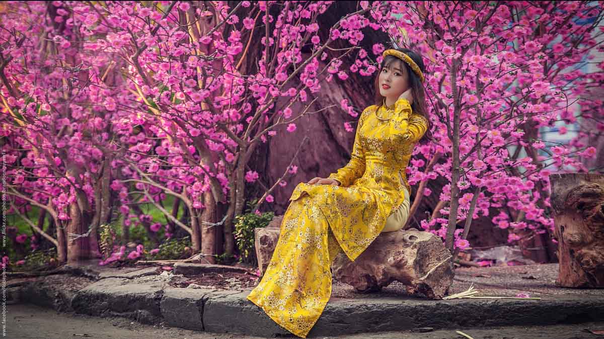 Asia Look Modestil
